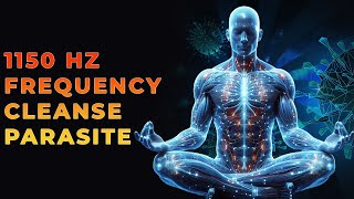 1150 Hz Rife Frequency For Parasite Cleansing  1150Hz Heals The Whole Body [upl. by Llemor258]