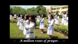 A Million Roses for the Worldwmv [upl. by Ransell]