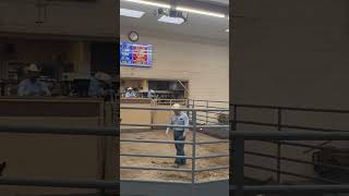 Cattle Auction Dodge City Kansas casitatraveltrailer [upl. by Riella810]