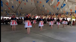 Hmong dancers performed on Lao new year Fresno Ca  beautiful dance and beautiful clothing design [upl. by Thorvald693]