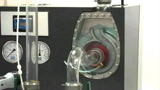 SelfPriming Pump Basics Pt 1 Introduction  GormanRupp [upl. by Lihas]