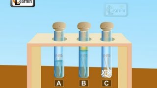 Corrosion and rust Science [upl. by Melburn]