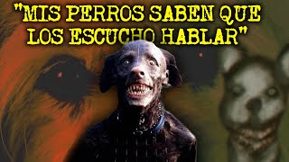 EXPERIENCIAS ATERRADORAS CON PERROS ACTUANDO COMO HUMANOS [upl. by Dihahs721]