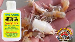 ProCure Saltwater Yabby  Nipper Super Gel Scent [upl. by Menzies]