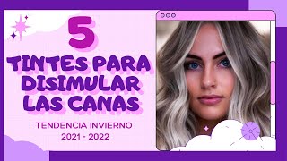 ★5 TINTES EN TENDENCIA PARA INVIERNO🍂 CON LOS QUE PODRÁS DISIMULAR LAS CANAS Y LUCIR ESPECTACULAR★ [upl. by Lyrac]