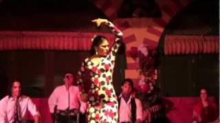 Flamenco Dance Seville Spain [upl. by Koslo]