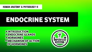 Endocrine System  Anatomy amp Physiology  Mechanism Of Action Of Hormones  B Pharma 2nd Semester [upl. by Yt]