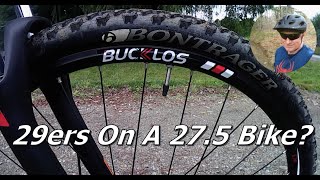 Bucklos 29 Inch MTB Wheels Test Ride amp Review  Schwinn AL Comp [upl. by Proulx]