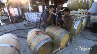 Vine to Wine Winemaking at Naggiar Vineyards [upl. by Giguere340]