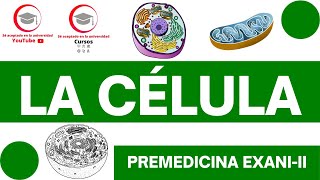 TIPOS DE CÉLULAS ESTRUCTURA Y FUNCIÓN CELULAR  CLASE 6 DEL CURSO DE PREMEDICINA PARA EXANIII [upl. by Nordgren]