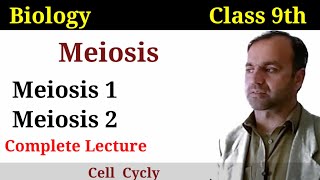 Meiosis class 9  Meiosis 1  Meiosis 2  phases of meiosis [upl. by Freud]