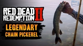 Red Dead Redemption 2 Legendary Fish  Legendary Chain Pickerel [upl. by Decato]