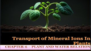 Transport of Mineral ions In plants  Chapter 6 Plant and Water Relation State Board NEET [upl. by Colombi]