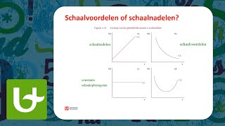 Schaalvoordelen [upl. by Luamaj594]