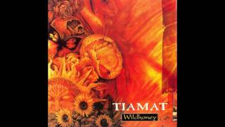 Tiamat  WildhoneyWhatever That HurtsThe Ar25th Floor [upl. by Collins41]