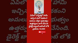 ఏపీ లో మరో పథకం అమలు చేస్తున్న ప్రభుత్వం [upl. by Reinhold987]