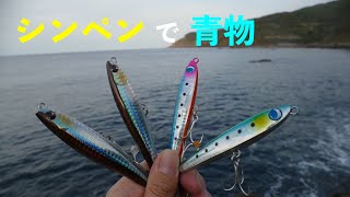 シンキングペンシルを使った青物の狙い方【使い方ロックショア】 [upl. by Lesley]