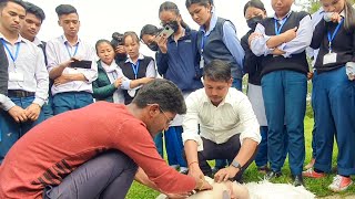 Students Observing the Anatomy of Small Ruminants  Teaching Animal Science in Nepal [upl. by Neffets]