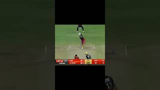 wait for end virat kohli king kohli cricket player very nice playerunknown [upl. by Tomi944]