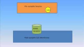 Insular Cortex Part 1a [upl. by Ennaegroeg]