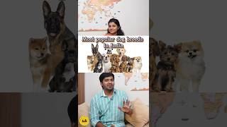 Most popular dog breeds in India 🐶🐾 BWT Biscuitswithtea tamil shorts dog pet germanshepherd [upl. by Hollander224]