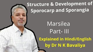 Structure and Development of Sporocarp and Sporangia of Marsilea by Dr N K Bavaliya Principal [upl. by Edieh]