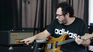 FRIEDMAN RUNT 20 HEAD Demo por Santiago Pagura [upl. by Introc594]