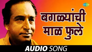 बगळ्यांची माळ फुले  Baglyanchi Maalphule  Dr Vasantrao Deshpande  Shrinivas Khale  Marathi Song [upl. by Hertzfeld783]