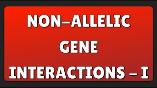 Nonallelic Gene Interactions  I [upl. by Eiaj955]