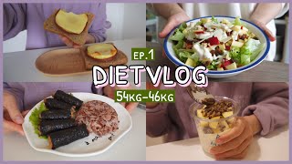 DIET1  Goal 46kg 🍳 I start to lose weight again┊FruitampNut salad Seaweed Chicken Roll [upl. by Anaujd]