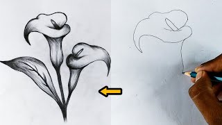 calla lily flower step by step drawing  how to draw [upl. by Slemmer378]