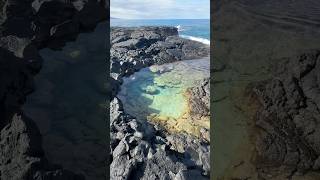 Tide Pool Treasure Hunt Real Life Moana 2 [upl. by Presley]