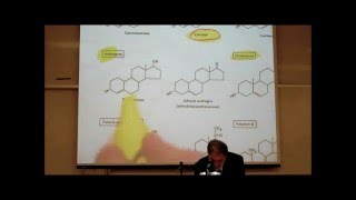 PHARMACOLOGY ACTIONS amp USES OF CORTICOSTEROIDS by Professor Fink [upl. by Mikey]