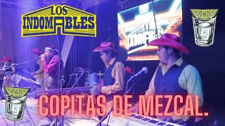 Los Indomables de Cadereyta tocando Copitas de mezcallosindomables musica [upl. by Nishi307]