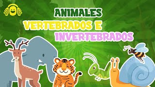 Animais vertebrados e invertebrados para crianças  Vídeos educativos para crianças [upl. by Royd]