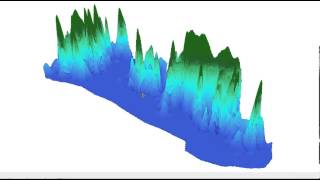 3D View of Kelp Forest Mapped with Lowrance and ciBioBase [upl. by Anits]