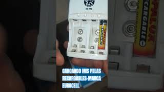 CARGANDO MIS PILAS RECARGABLES ES UNA COLECCION MUY GRANDE DE BATERIAS RECARGABLE QUE TENGO [upl. by Eloccin]