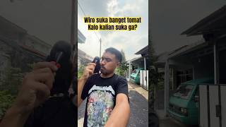 BUAH TOMAT JADI MAKANAN FAVORIT BURUNG GAGAK WIRO MAKANYA DIA LANGSUNG NGIKUTIN [upl. by Cockburn786]