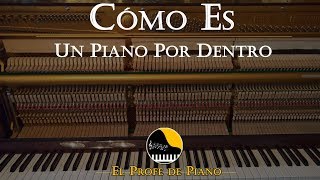 Como funciona un piano  Como es un piano por dentro [upl. by Eward]