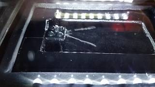 Cloud Chamber HighVoltage quotIon Scrubberquot in operation [upl. by Liam913]