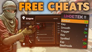 FREE CS2 CHEATS You Should Check Out In 2024 [upl. by Pease]