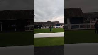 horses around the paddock at Leicester racecourse [upl. by Ednargel]