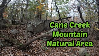 Cane Creek Mountains Natural Area Exploring  LongLeaf Pines in Piedmont NC [upl. by Archer661]