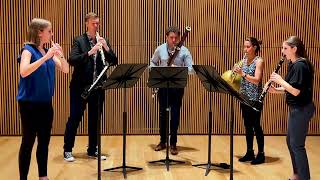 Nu Quintet Autumn Music  Jennifer Higdon [upl. by Pylle]