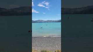 Akaroa Nz [upl. by Dietrich]