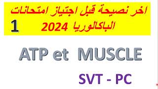 2 bac 2024 ATP et muscle آخر نصيحة بخصوص الوحدة الأولى pc et svt [upl. by Nidia746]