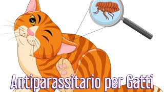 Antiparassitario per Gatti come scegliere senza sbagliare  Consulente Felino [upl. by Pulling]