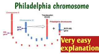 Philadelphia chromosome  BCRABL translocation  Tyrosine kinase Functions [upl. by Cam]