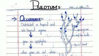 PSILOTUM General characters and Reproduction In hindiUrdu ADSBSCBS [upl. by Cann]