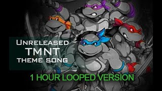 Unreleased Teenage Mutant Ninja Turtles Theme Song  TMNT  1HR Looped Version [upl. by Dranyam]